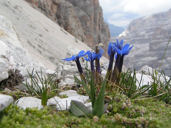 FERRATA TOMASELLI NA FANISSPITZE 2989 M